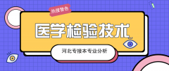 2019年河北专接本医学检验技术专业录取分数线平均分