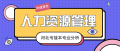 2019年河北专接本人力资源管理专业录取分数线平均分