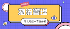 2019年河北专接本物流管理专业录取分数线平均分