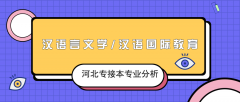 2019年河北专接本汉语言文学/汉语国际教育专业录取分数线平均分