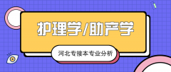 2019年河北专接本护理学/助产学专业录取分数线平均分