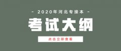 2020年河北省专接本文史类汉语国际教育/汉语言文学专业考试大纲