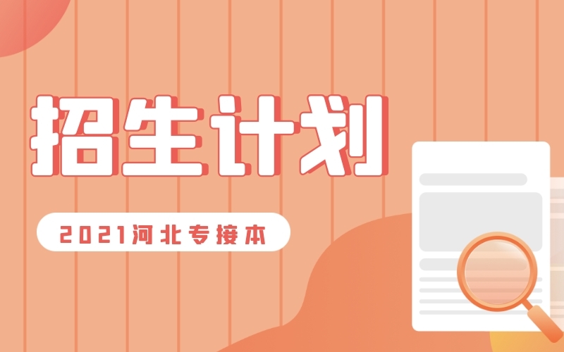 2021年河北专接本金融工程/金融学/投资学/农林经济管理联考专业招生计划