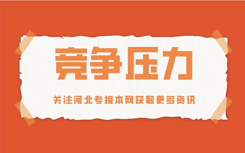 河北省专接本哪些专业竞争压力最大？