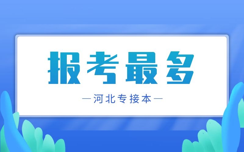 河北专接本报考人数最多的专业都有哪些？