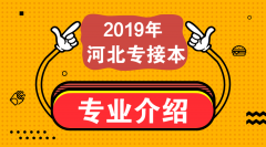 2019年河北专接本旅游管理专业招生计划人数